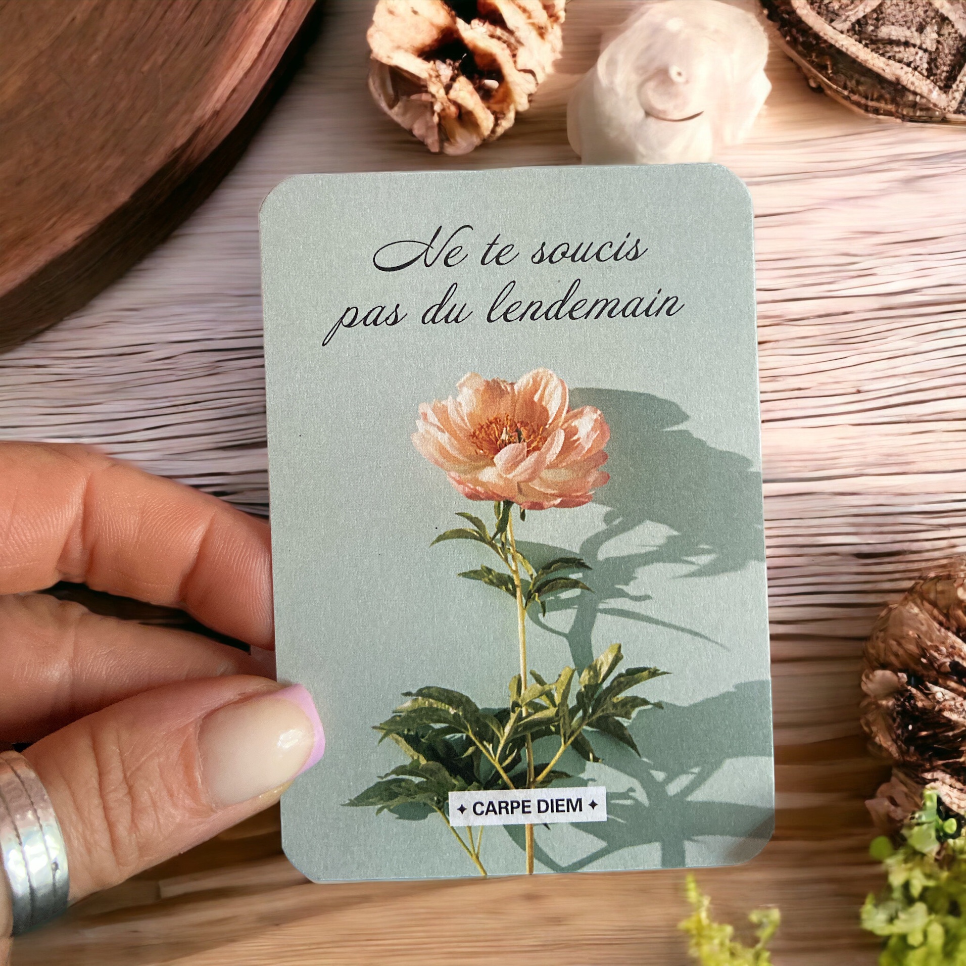 Dispo sur Amazon !
Oracle de l’Esprit Bohème : 60 cartes de Guidance en français aux Editions Tredaniel – Image 2