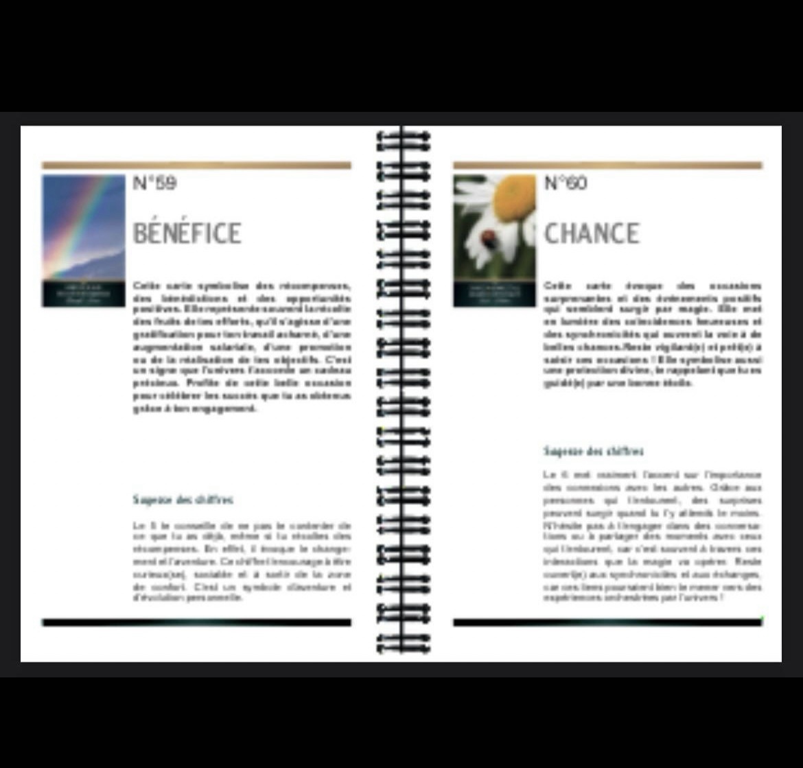 Guidebook pour l’Oracle Secret d’Émeraude - Format A6 à spirale - En français - Fdp inclus – Image 3